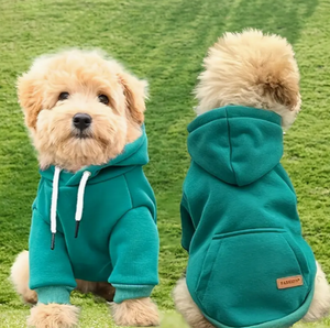 Fashion Hoodie - Green