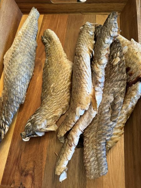 Dehydrated Fish Skin Fillets