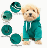 Fashion Hoodie - Green