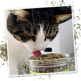 Meowijuana Cat Nip