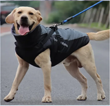 My World My Rules - Winter Jacket for Large Dogs