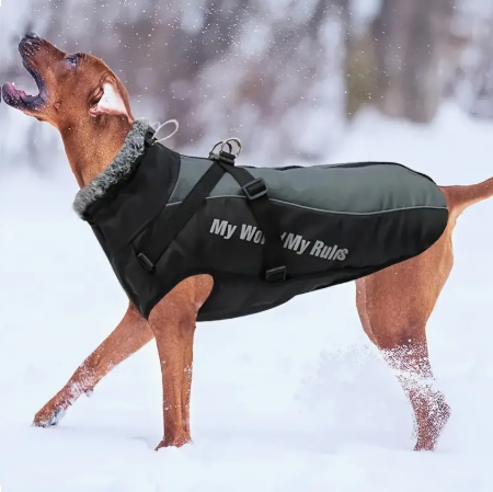 My World My Rules - Winter Jacket for Large Dogs