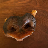 Dehydrated Pig Snout